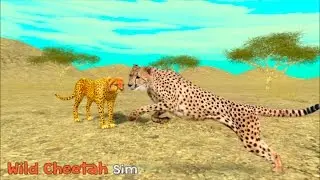 Wild Cheetah Simulator 3D - By  Turbo Rocket Games - Simulation - iTunes/Android