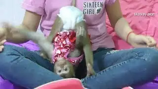 Wow Mori Up Side Down Doing What