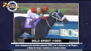 Cracks de La Arena: Wild Spirit (1999-2021)