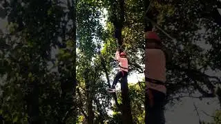 treetopadventure#treetops#treehouse#HMI