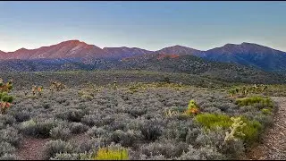 Kyle Canyon Grand Crossing Northern Half | La Madre Mountains Wilderness, Nevada