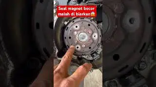 Penyebab oli bocor pada bagian magnet beat karbu #tutorialbengkel #mekanikmotor #mekanik #beatkarbu