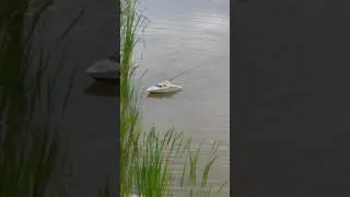 Rc boat sinks when monster fish hits the hook