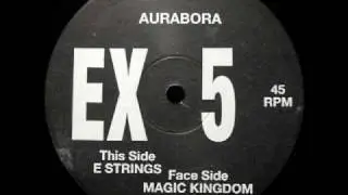 Damon Wild & Tim Taylor - Aurabora - E Strings