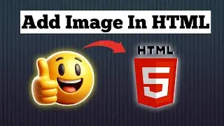 How to Insert Images in HTML (Step-by-Step Guide!)