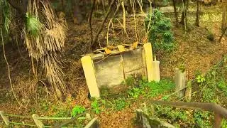 Project Dharma: Extreme Project Mayhem - 37 - Ritorno all'Area del Monte della Morte 6 di XX (25 Ed)