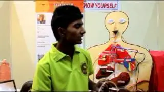 science working model of human body part 5