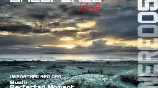 Bushi - Perfected Moment (Odonbat Proglifting Remix) [Unearthed Red]