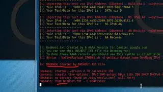 Chapter 6 - Video [2] , DATA Transferring Technique by DNS Traffic AAAA Records