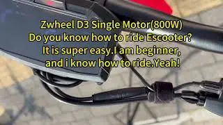 Zwheel D3 single motor 800W.No more traffic jams.Your city commute partner.#electricscooter #zwheel 