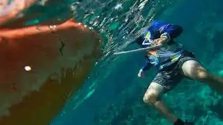 Buck Island Big Beard Tour Snorkeling Adventure
