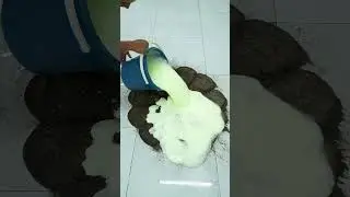 🌸 Luxury Rug Washing 🧼 | Flower Shape Carpet Satisfaction 💎#shorts #satisfying