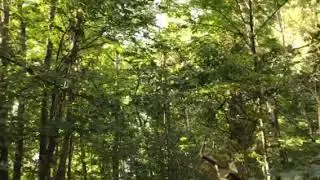 Vertical stratification