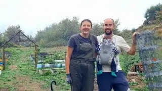 Жизнь на нашей маленькой ферме: ограждение, овощи и ремёсла
