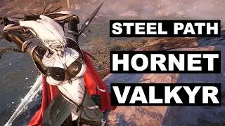 Hornet VALKYR Melts the Steel Path | Warframe vs. Hollow Knight