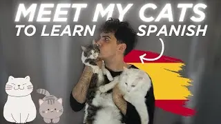 Learn Spanish with my Cats | Spanish Boost Podcast | Episode 16