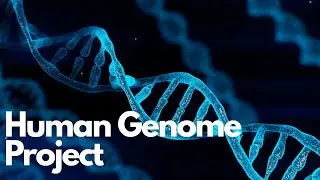 Unlock the Secrets of the Human Genome in 20 Minutes!