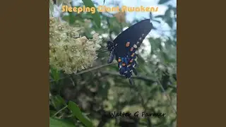 Sleeping Giant Awakens