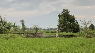 MUEL CHAN sedang live sekarang!