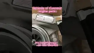 All kinds of #Cummins engine parts! The best quality and price!Welcome inquiry and purchase!