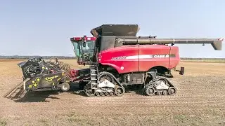 🇫🇷 4 TRACKS on this COMBINE 😱 XXL HARVEST in France 🌾 CTF 9m