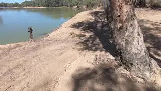 Trail ride from Redcliffs to Nangiloc along the Murray River KTM 500 EXC