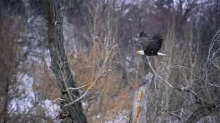 A Winter Journey Through Catharine Valley&rsquo;s Natural Beauty