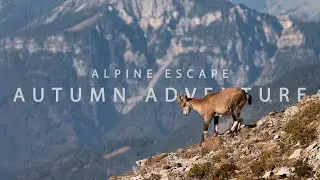 Alpine Escape - Autumn Adventure | DJI AIR3 Cinematic Short Film