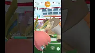 Terrakion Duo With 131 Seconds Remaining 😱 | Pokemon Go |