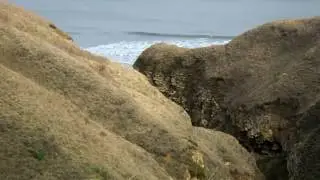 hartlepool walk,on top of hills above blackhall beach