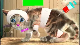 MY LITTLE KITTEN ADVENTURE - CARTOON ANIMALS WITH A FUNNY AND HAPPY CAT GO ON ADVENTUROUS JOURNEY