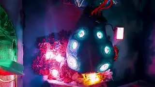 Botanica Greenhouse Escape Room Trailer