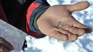 Catching the Smallest Meteorite in History - Meteorite Men