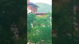 Punkha Dzong also known as pungtang Dechen phodrang which translates to the place of great happiness