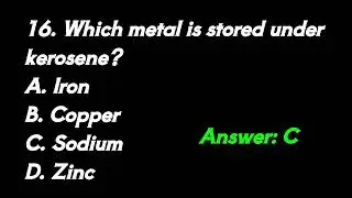 CTET Paper 2 Science MCQs | Top 30 Most Important Questions | CTET Science Preparation