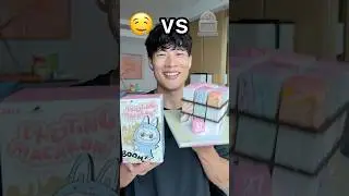 27 FLAVOR ICE CREAM CAKE or LABUBU // EAT or RIP Challenge