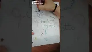 Curiosit&agrave; sul fagiolo borlotto