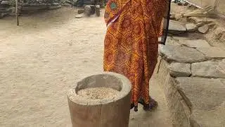 Turns paddy into rice in Marayoor | Chinnar | #Shorts