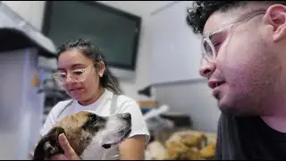 My Puppy's Results Came Back, He Has Cancer..Now What?