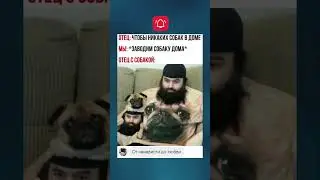 Мордочки 😂 #мем смех #смешныевидео #прикол #шутки #jokes #shorts #shortvideo #юмор #мем