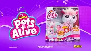 Pets Alive - Lama