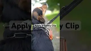 How To: Apply a Safety Clip