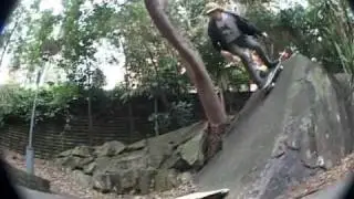 Lucas Kennedy Crazy Skating!