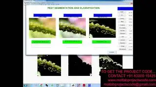 Matlab projects for Vision based pest detection based on SVM classification method
