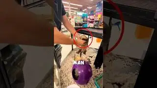 Этот хорек разлучился со своей женой 🥹❤️ #шорты