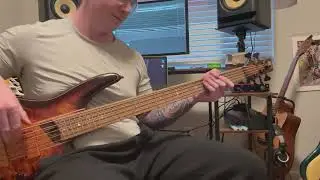 Supermassive Black Hole - Muse Bass Cover