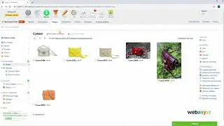 Создание фильтра в интернет магазине Webasyst (Shop Script)