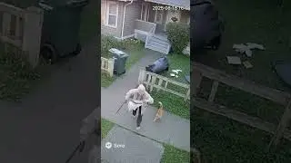 Grandma vs Cat 2 &ndash; SORA 2 Ultra-Realistic AI Footage (Looks 100 % Real)