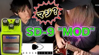プロが大絶賛する音色の幅が異常に広い『SD-9 MOD』が最強でした！【Brush eight】