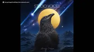 Studio Voices: A Raven's Call